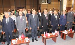 Memecik Zeytinyağı dünya markası olacak