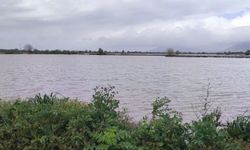 Aydın'da sular altında kalan arazilerde kesin zarar tespiti yapıldı