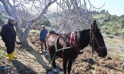 Gençler köyü terk edince iş yaşlılara kaldı