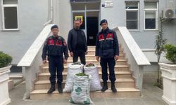 İncir bahçesinde jandarmadan suçüstü