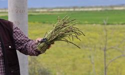 Hem sağlığını koruyor, hem de paylaşmanın mutluluğunu yaşıyor