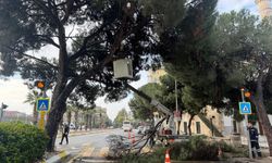 Başkan Çerçioğlu’ndan Aydın’ın yeşil dokusunu geleceğe taşıyan çalışma