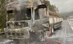 Tomruk yüklü tır alev topuna döndü