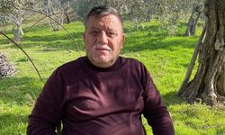 Zeytin bahçesinde çalışırken kalbine yenildi