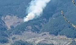 Nazilli'de orman yangını