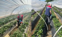 Köşk'ten Sultanhisar'a çapraz denetim