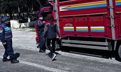Kurbanlık denetimi