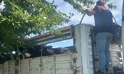 Aydın'da kurbanlık nakil yol kontrolleri yapıldı