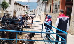 Bozdoğan'da kurban satış yerleri denetlendi