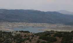 Çine Adnan Menderes Barajı eski günlerine geri döndü