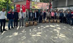 3 bin kilo ayçiçeği tohumu üreticilere dağıtıldı