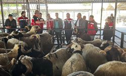 Aydın’da kurbanlık satış noktalarında kontrol yapıldı