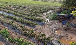 Köşk'te sel sonrası arazilerde hasar tespiti başlatıldı