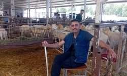 Nazilli hayvan pazarında bayram mesaisi.. Kurban pazarında kalabalık var, alıcı yok