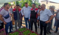 Aydın'da ilek pazarı denetimleri aralıksız sürüyor