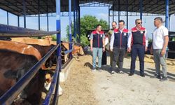 Kırsalda Bereket Hayvancılığa Destek Projesi ile Aydın’da üretim gücü artıyor
