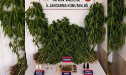 Nazilli’deki operasyonda yakalandı
