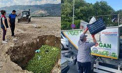 Bozdoğan’da hastalıklı ilekler imha edildi