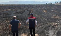 Yangından zarar gören tarım arazileri incelendi