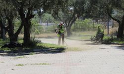 Nazilli Belediyesi’nden park ve yeşil alanlarda temizlik seferberliği