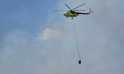 Nazilli'de korkutan yangın
