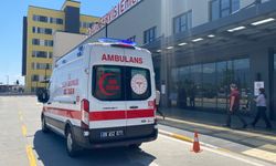 Zakkumun çiçeğini yedi, komalık oldu