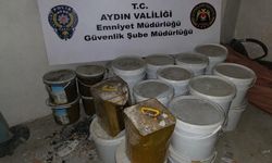 Makilik ve zeytinlik yangını