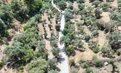 Nazilli Bayındır’da yollara parke taşı
