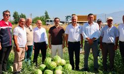 Cincin karpuzunda ilk hasat heyecanı yaşandı