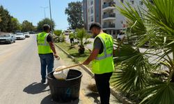 Aydın Büyükşehir Belediyesi’nin çalışmaları ile kentin yeşil alanları pırıl pırıl oluyor