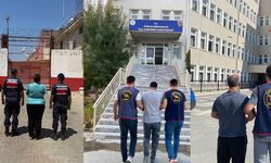 Aydın'da aranan 3 hükümlü jandarmadan kaçamadı