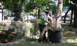 Başkan Çerçioğlu’nun çalışmalarıyla Aydın’ın park ve yeşil alanları yenileniyor