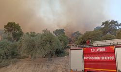 İtfaiye erleri alevlerin arasında kalan kaplumbağayı böyle kurtardı