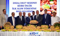 Tarım ve Orman Bakanı Yumaklı Aydın'da incir hasadına katılacak