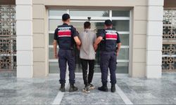 İncir hırsızlığına suçüstü