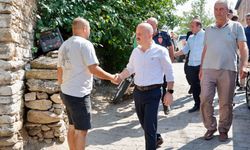 Vali Varol: Yanan alanlar en kısa sürede yeniden yeşillendirilecek
