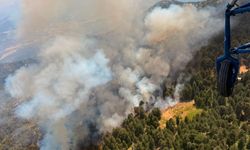 Kuyucak'taki yangına 17 hava aracıyla müdahale sürüyor