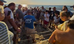 Aydın kıyılarında 214 yavru caretta denizle buluştu