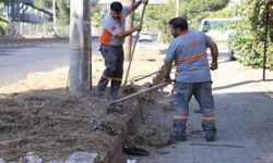 Nazilli Belediyesi’nden devlet karayolunda temizlik çalışması