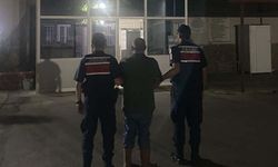 Kuyucak'ta ormanlık alanda kenevir yetiştiren şüpheli suçüstü yakalandı