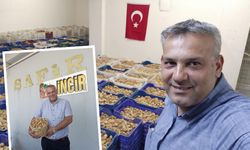 Nazilli'de güvenli liman: Safir İncir