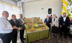 Nazilli inciri bin liraya satıldı