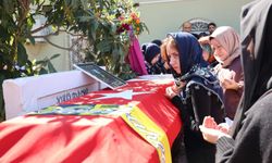Portekiz'de yaşanan acının ateşi Aydın'a düştü