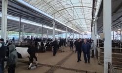 Nazilli Hayvan Pazarı’nda kaçak ve belgesiz hayvanlara geçit yok