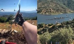 Aydın'da doğal yaşam alanlarına kınalı keklik salımı yapıldı