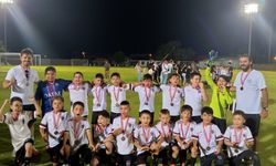 Nazilli Aslanlar liglere Dallıca Spor Kulübü adıyla katılacak
