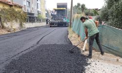 Nazilli Belediyesi Zafer Mahallesi’nde asfalt çalışmalarına başladı