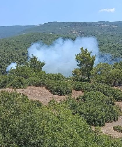 Çine’deki yangın söndürüldü