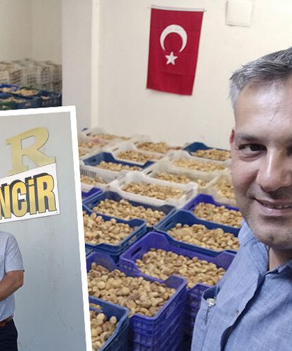 Nazilli'de güvenli liman: Safir İncir