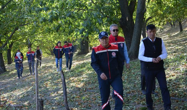 Aydın İl Tarım Müdürü Altıntaş: Aydın kestane üretiminde birinci sırada yer alıyor